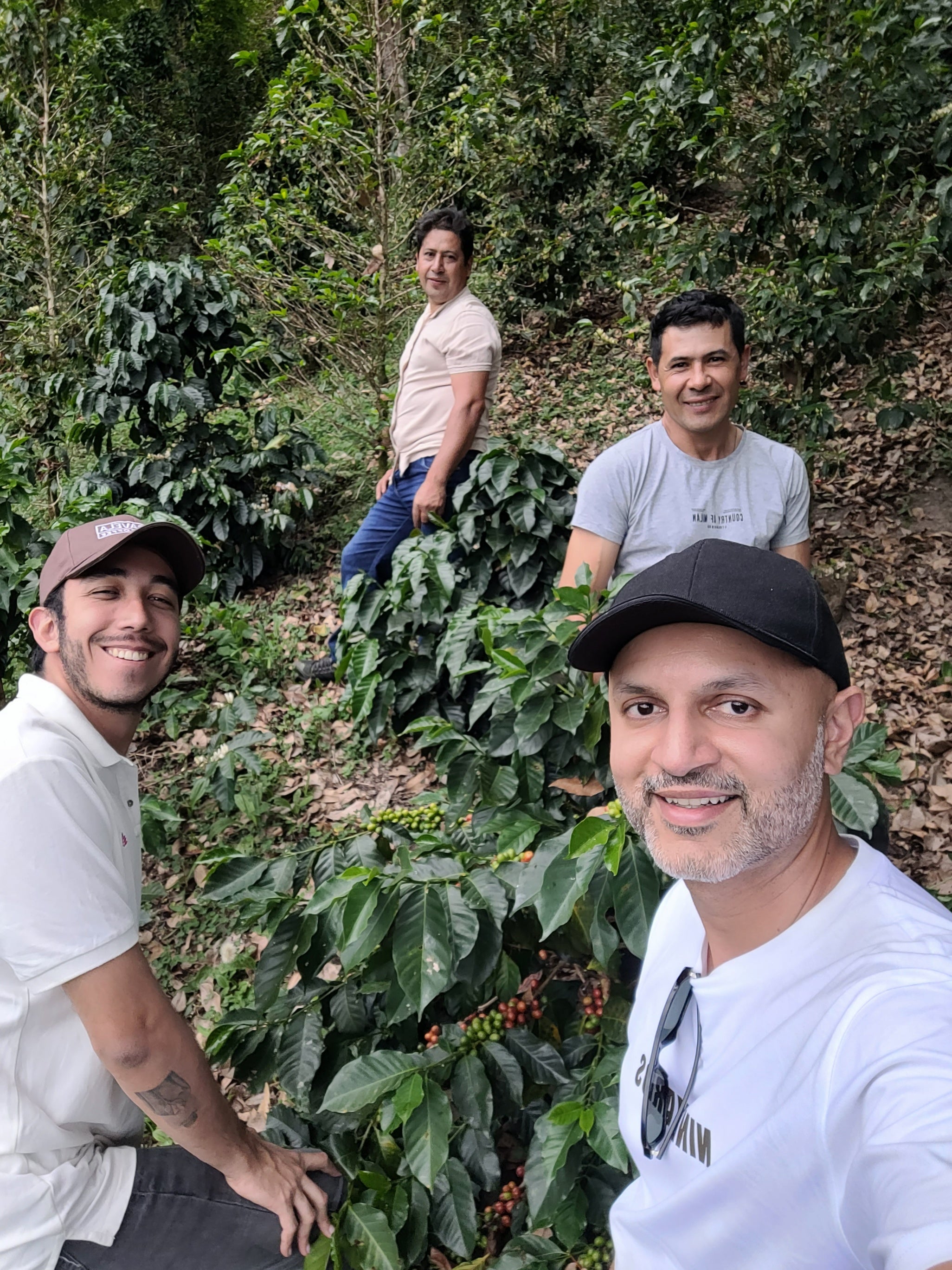 Wilmar Guarnizo Gesha AAA - Filter Roast - Nine Yards Coffee