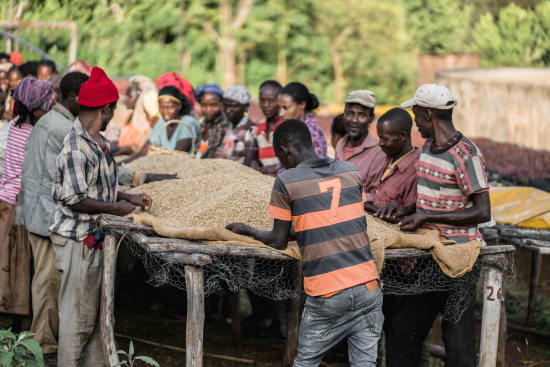Ethiopia Chelchele Grade 1 – Natural Filter Roast