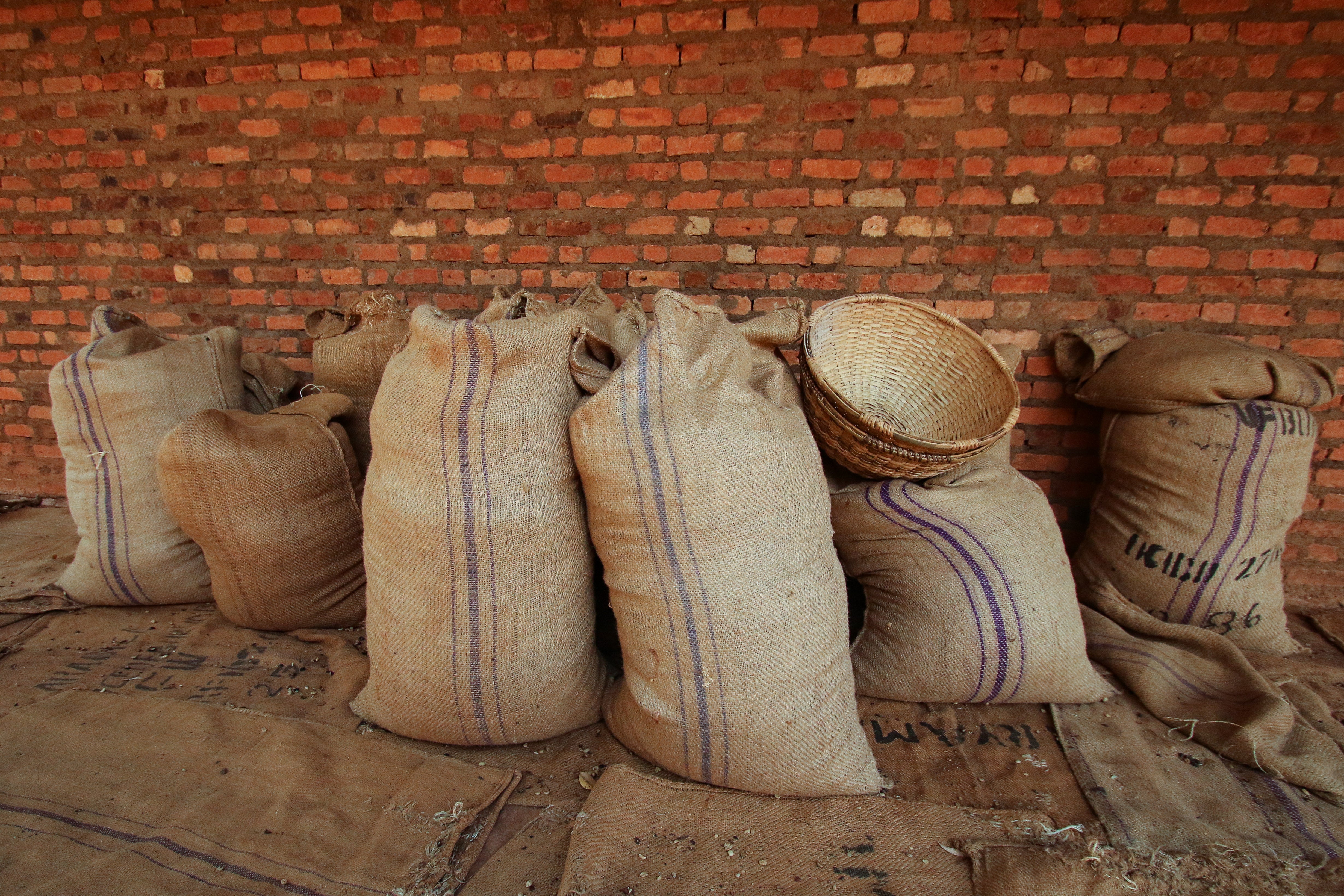Burundi Gihere - Ngozi - Natural - Espresso Roast