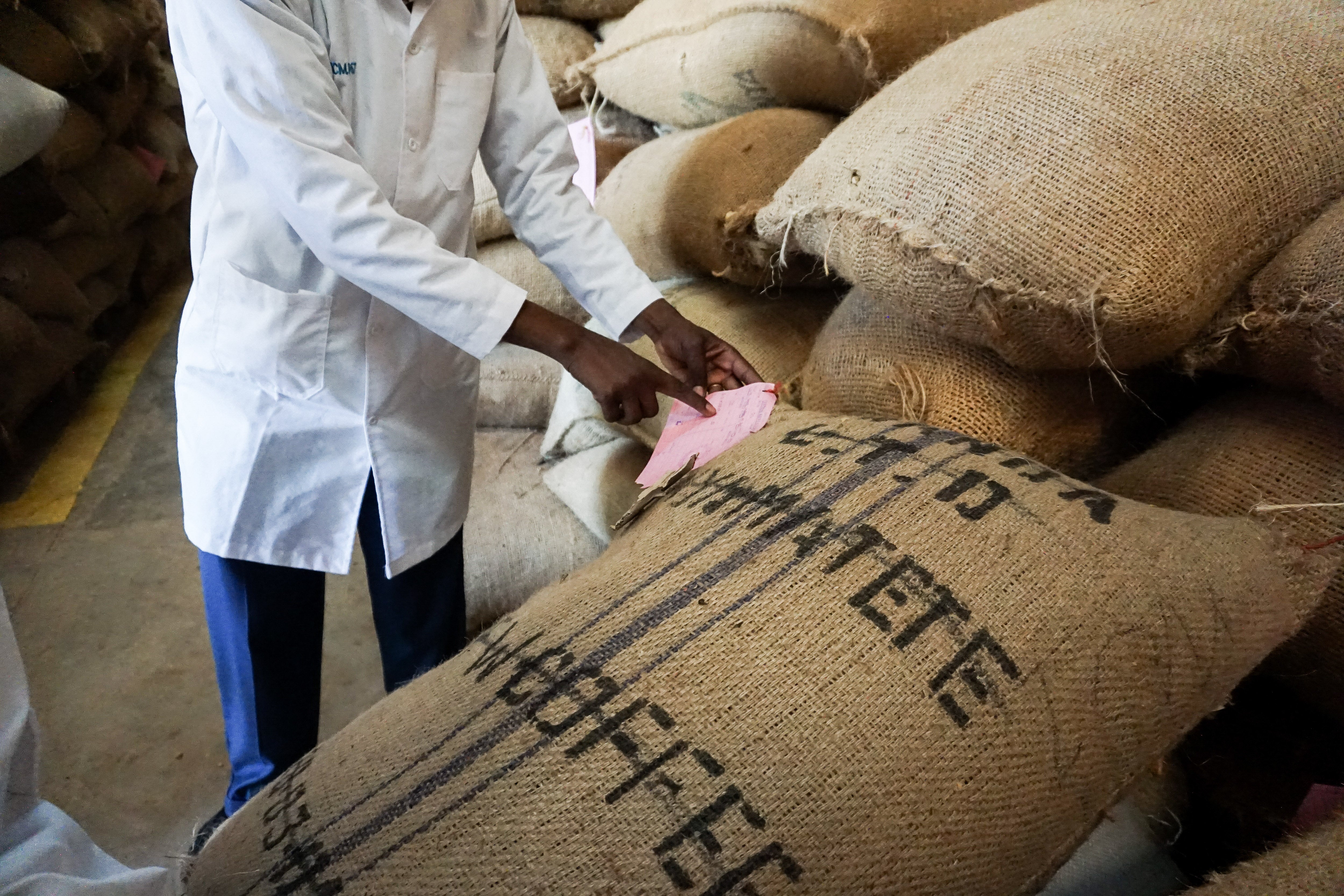 Kenya Kamwangi AA - Kirinyaga - Filter Roast